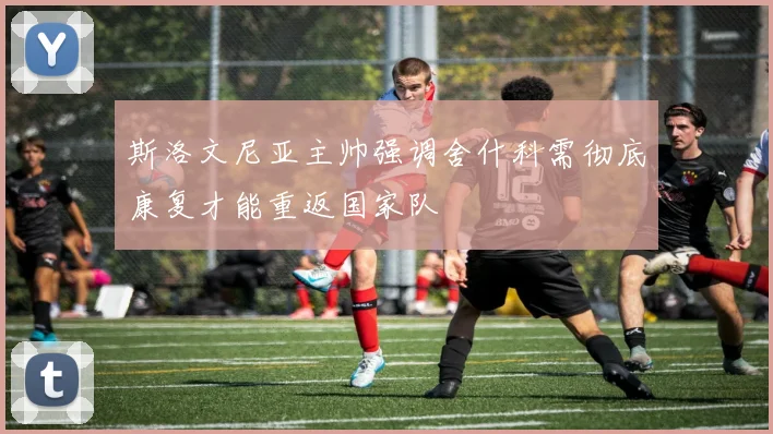 斯洛文尼亚主帅强调舍什科需彻底康复才能重返国家队